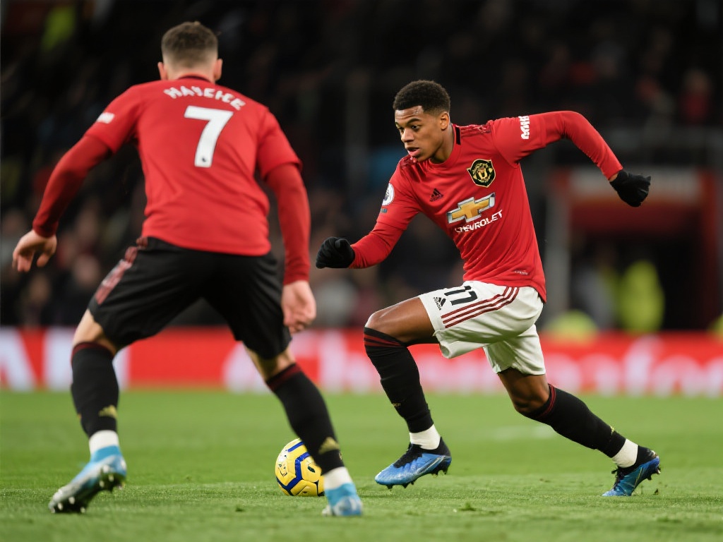 还是在试图 还是在试图