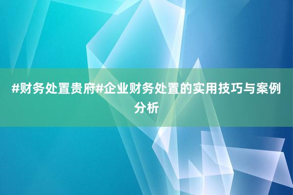 #财务处置贵府#企业财务处置的实用技巧与案例分析